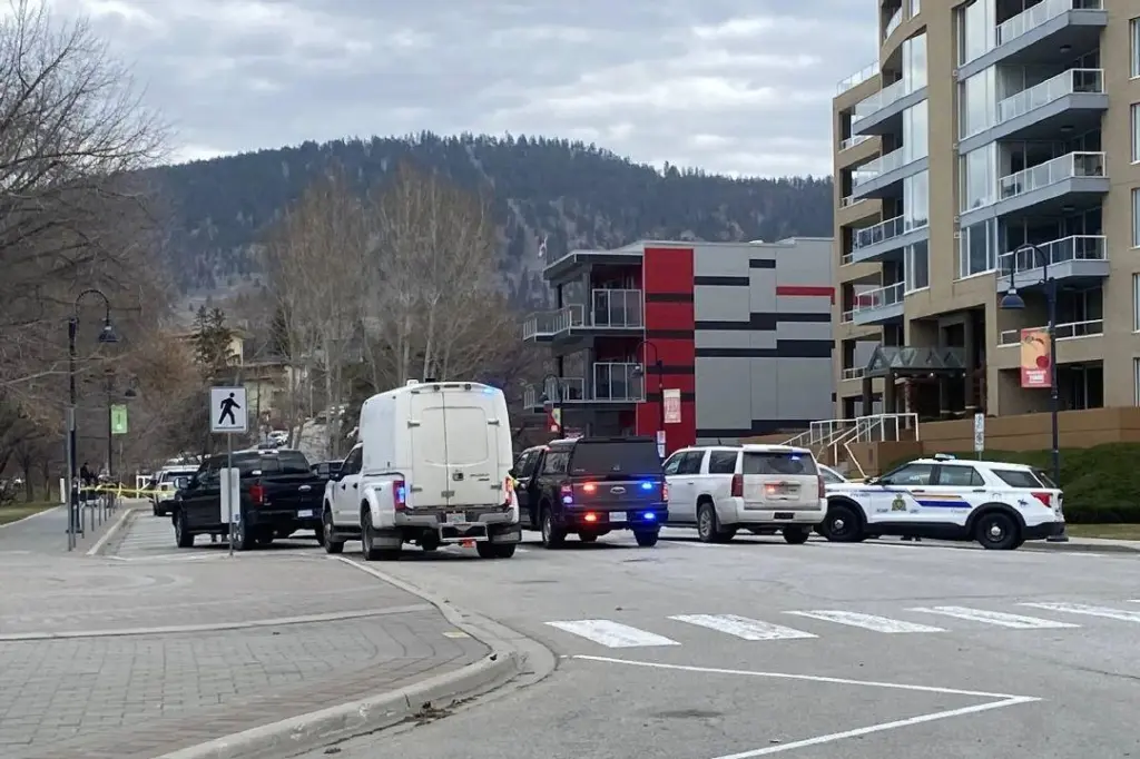 Police watchdog seeking more witnesses to Penticton incident
