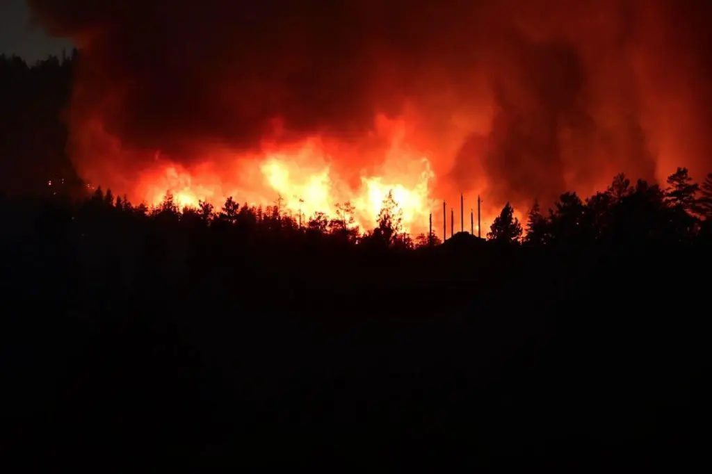 BC Forest Minister says Summerland wildfire ‘real wake-up call’